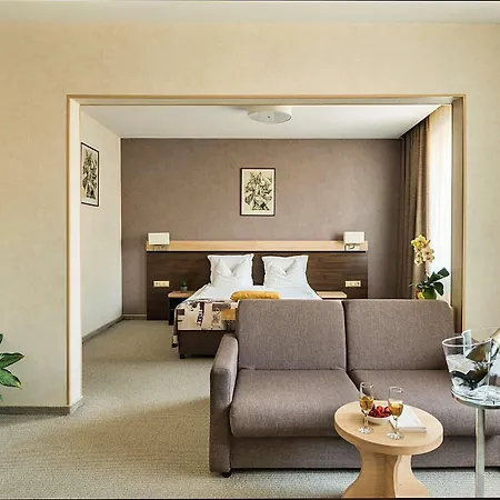 호텔 Dunav Plaza 4*